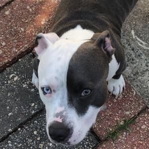 Meet your Posher, Erick